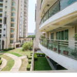 DLF Aralias