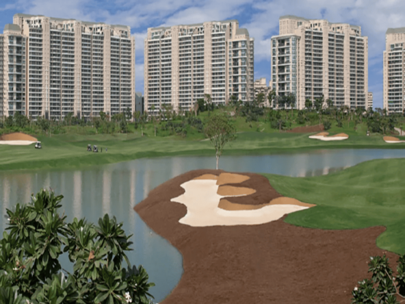 DLF Camellias